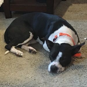 Meet your Posher, Ali